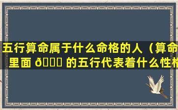 五行算命属于什么命格的人（算命里面 💐 的五行代表着什么性格）